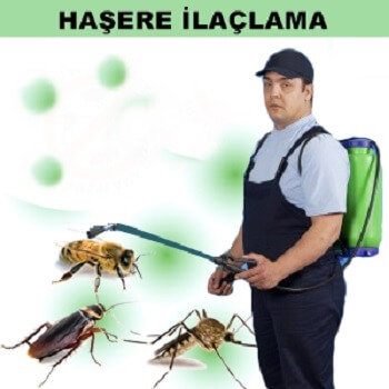 Defne Böcek İlaçlama